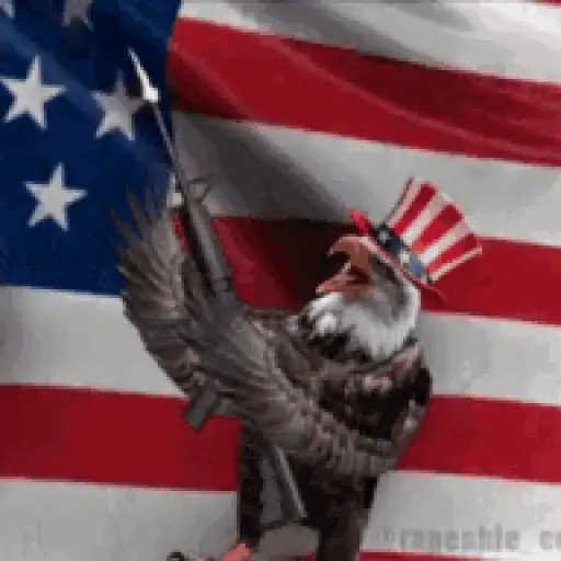 American Anthem (Gun and Eagle)