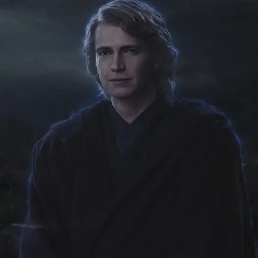 Master Skywalker Star Wars