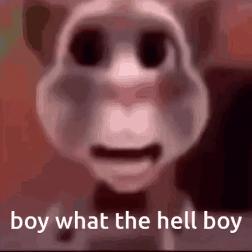 boi what the hell boi