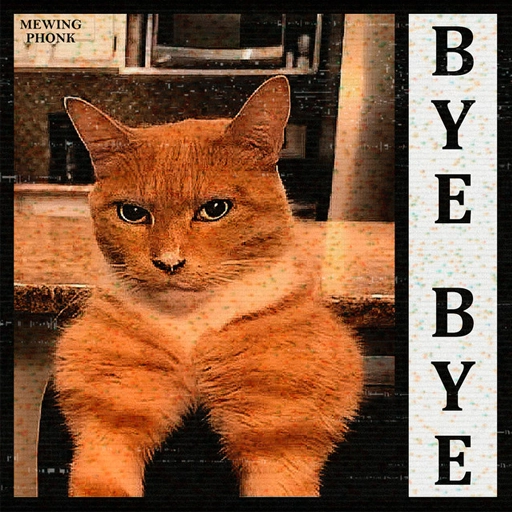 bye bye mewing