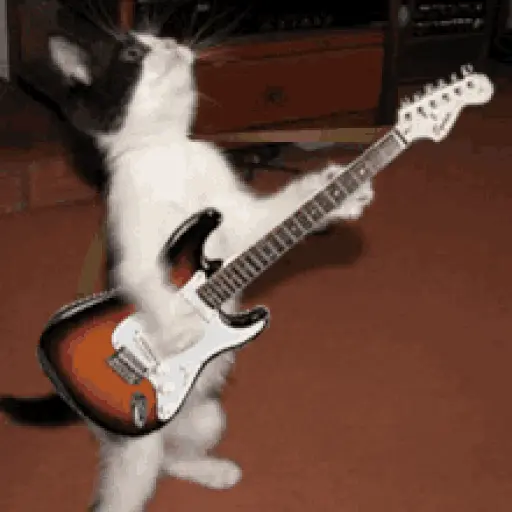 Buddy Holly Weezer Guitar Lick