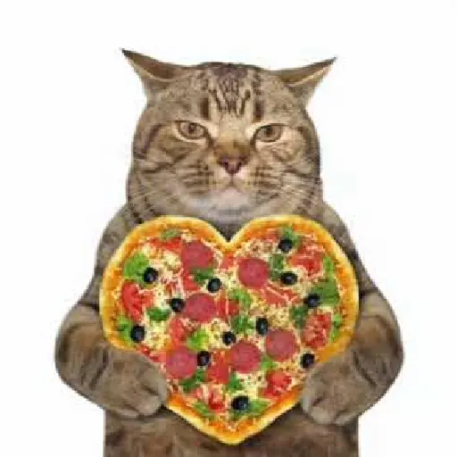Pizzeria Del Gatito