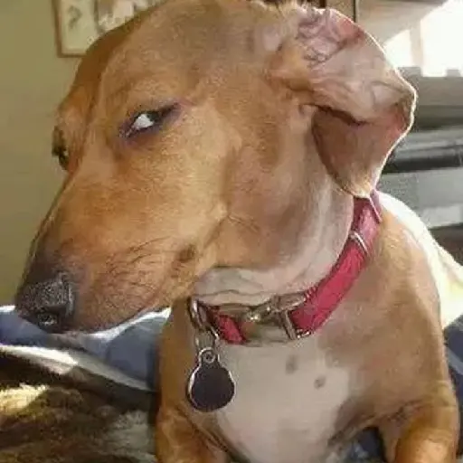 side eye