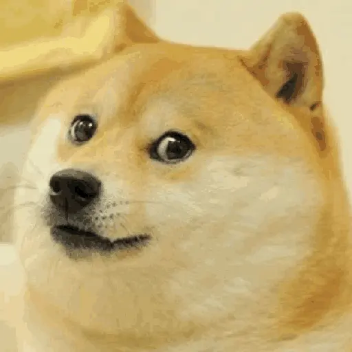 Doge Alarm