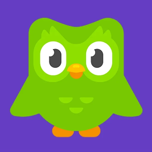 Duolingo correct