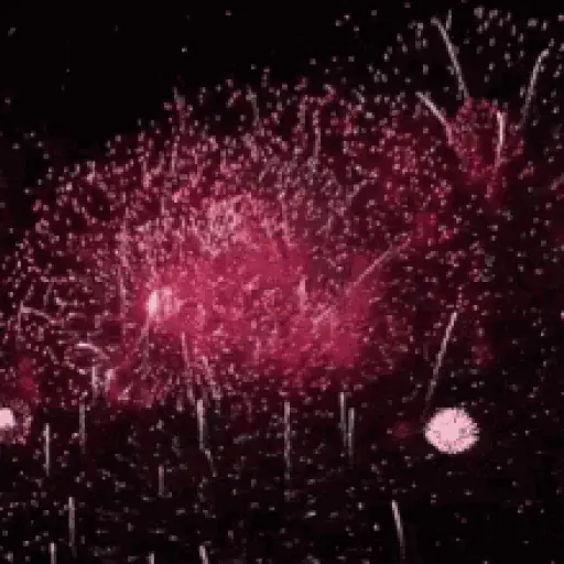 Firework