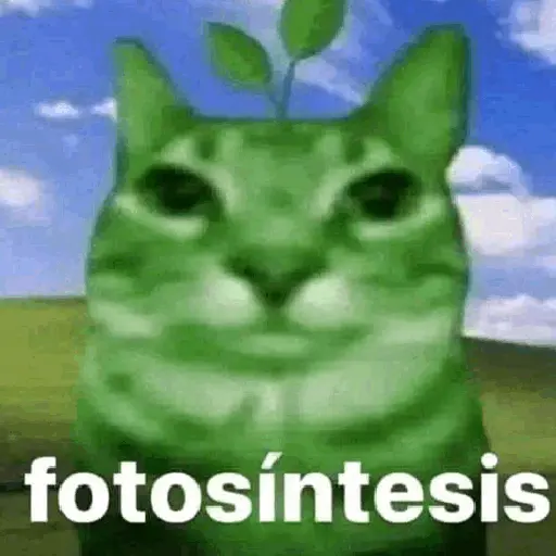 Fotosintesis