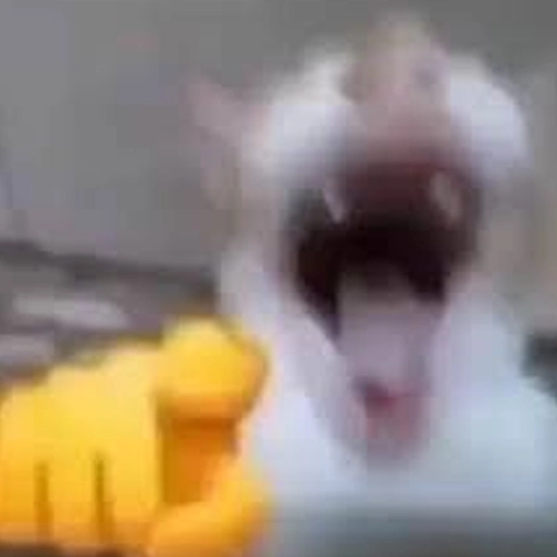 ABA D D??