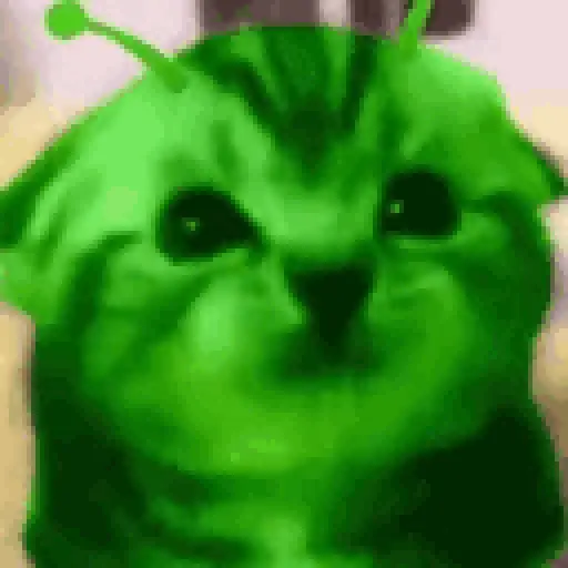 Green Alien Cat