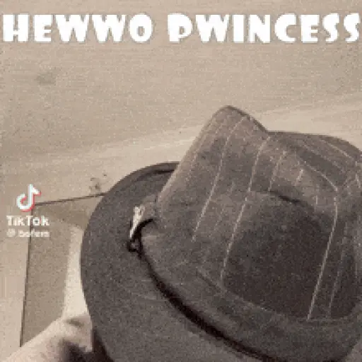 hello princess