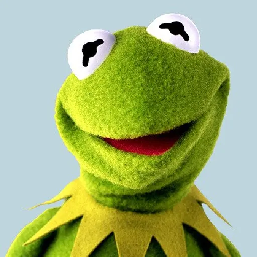 I want it that way - Kermit