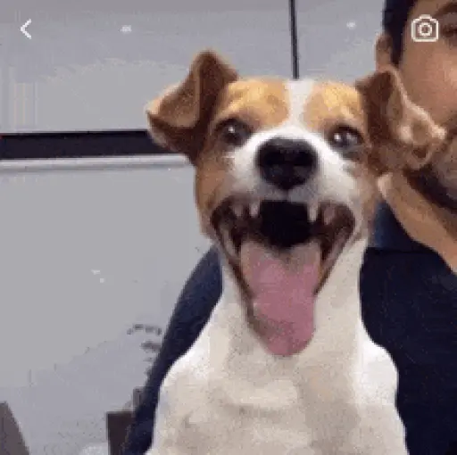 Rizzbot laugh