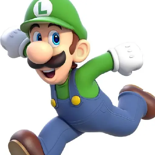 LUIGI PARTY