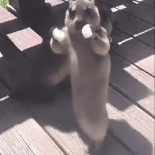 You Can Really Dance