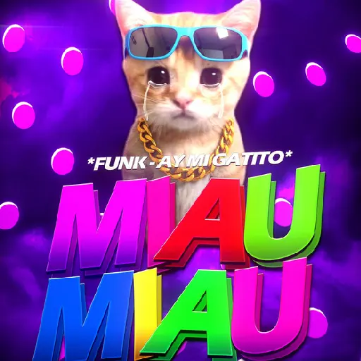 ay mi gatito funk