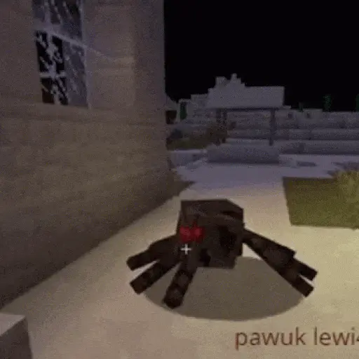 Minecraft Spider