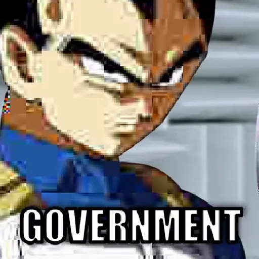 not a big fan of the government
