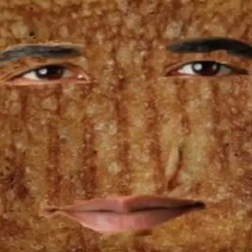 Grilled Cheese Obama Sandwich