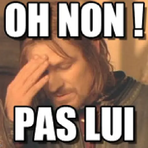 aux non pas lui
