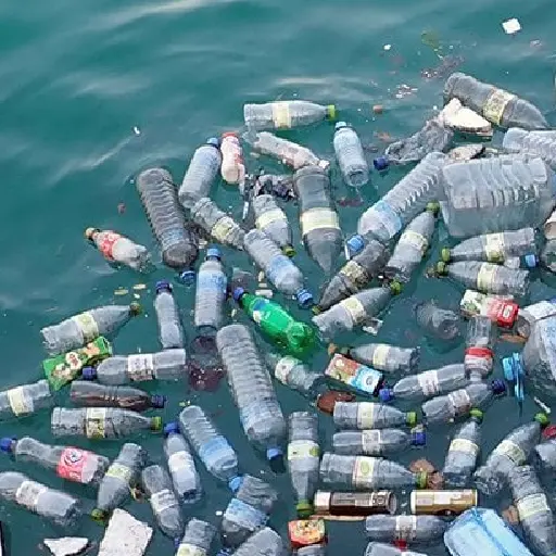 I Want To Swim In Plastic Too