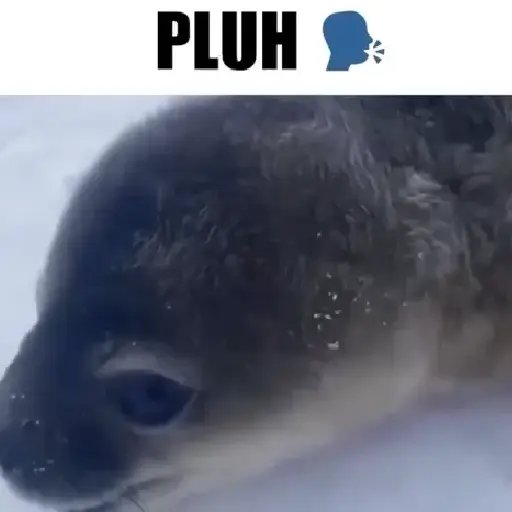 Pluh