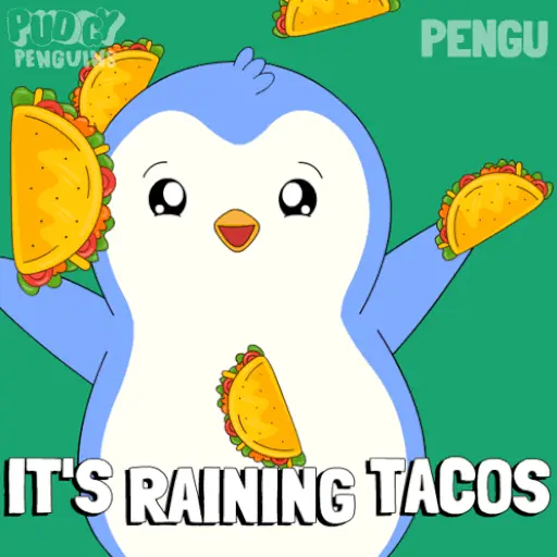 Its raining Tacos