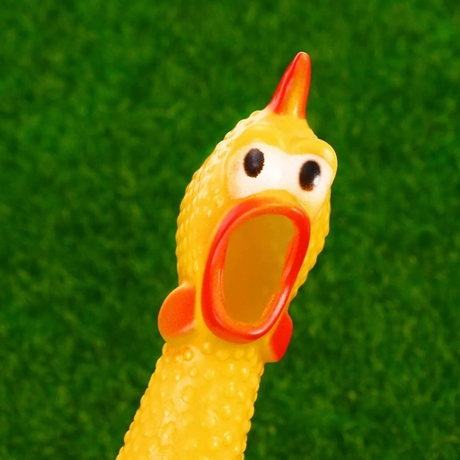 Screaming chicken