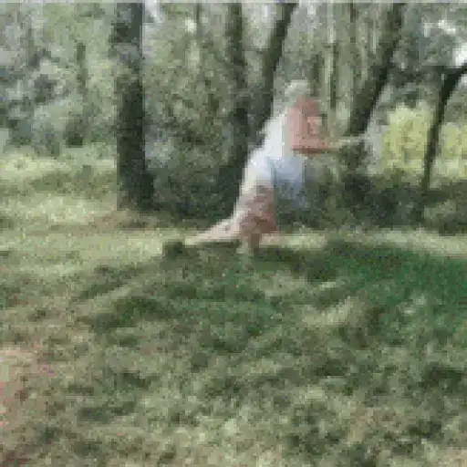 She Was A Fairy