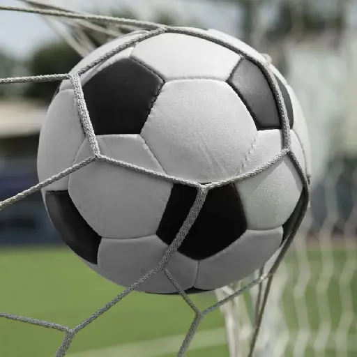 FC Bayern Munich Goal Song