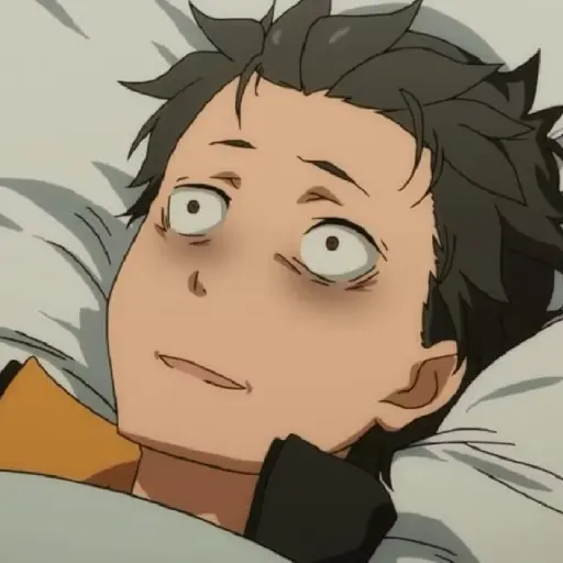 Re:Zero Return by Death